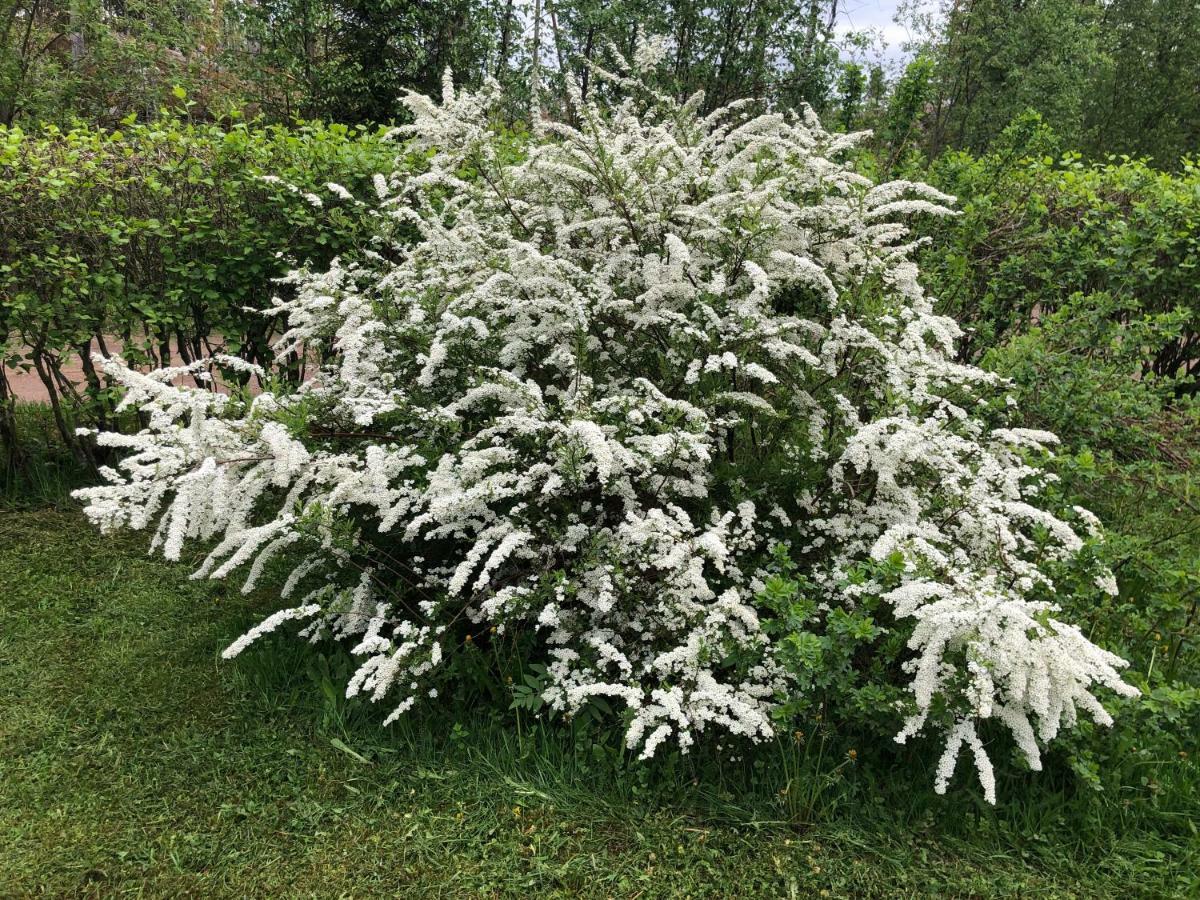 Pyhtaeae Garden Villa Pyhtaa Kültér fotó